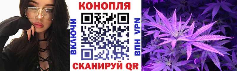 Где найти наркотики Старый Оскол Псилоцибиновые грибы  Амфетамин  ГАШ  Канабис 