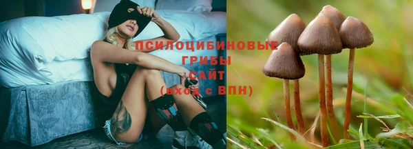 спайс Богданович
