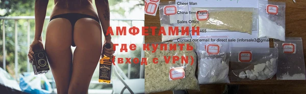 спайс Богданович