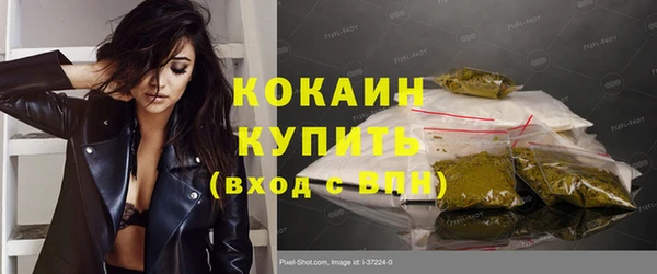 кокс Богородицк
