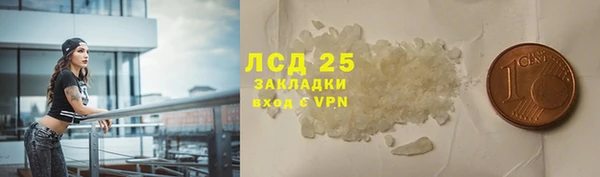 спайс Богданович