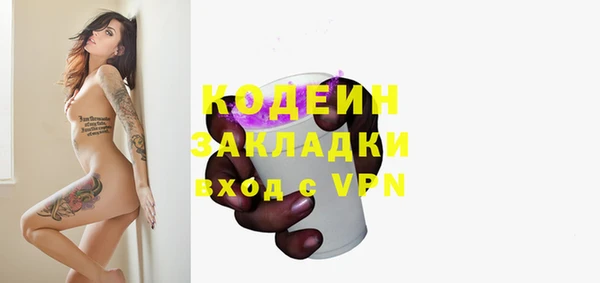 спайс Богданович
