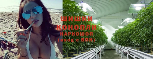 кокс Богородицк