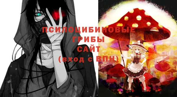 спайс Богданович