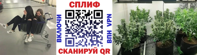 Канабис THC 21% Старый Оскол